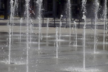 Kaunas, şehir parkına çeşme suyu damlatıyor.