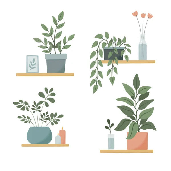 Set of potted plants on the shelves. Flowers in a vase, candles, a picture in a frame. Cozy raster illustration — Stock Photo, Image