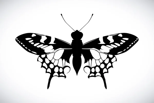 Kelebek tasarım — Stok Vektör