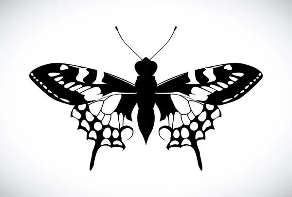 Design papillon — Image vectorielle