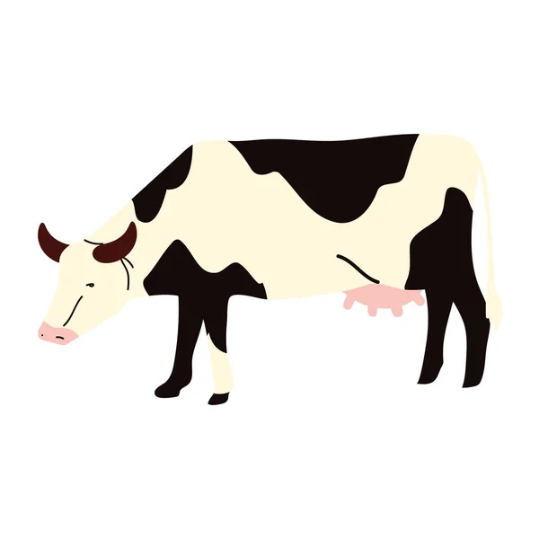 Farm cow animal — Stock Vector