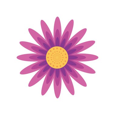 çiçek doğa dekorasyonu