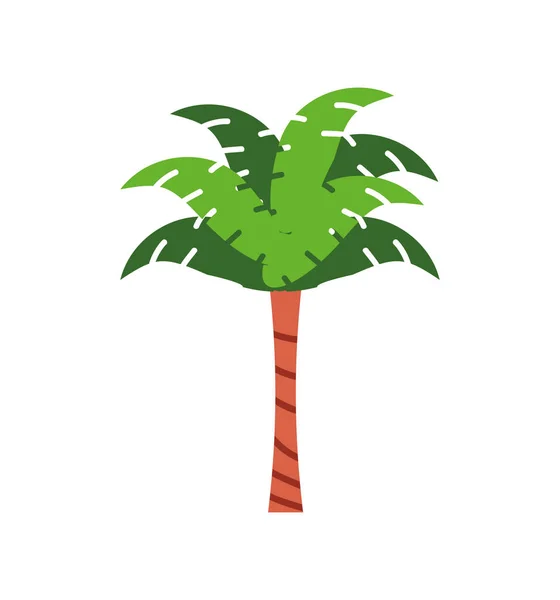 Tropische Palme — Stockvektor