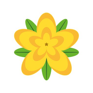 sarı çiçek yaprakları