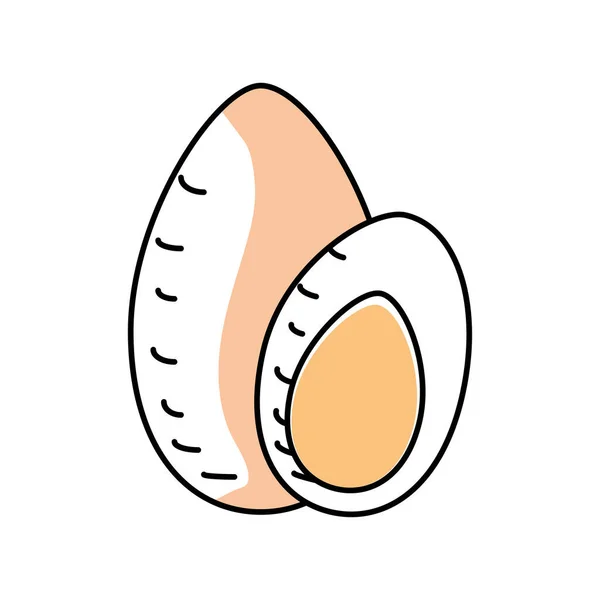 Βραστό αυγό φρέσκο — Διανυσματικό Αρχείο