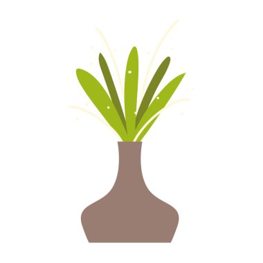 bitki bitkisi botanikten ayrılıyor