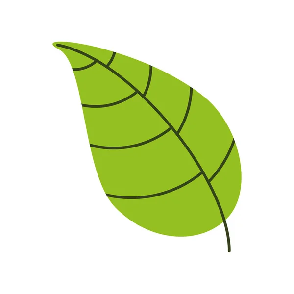 Φύλλα πράσινης φύσης — Διανυσματικό Αρχείο