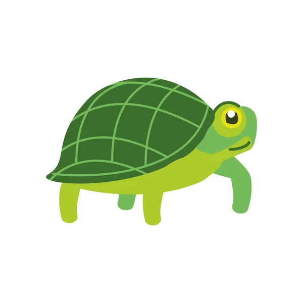 Tartaruga verde animale — Vettoriale Stock