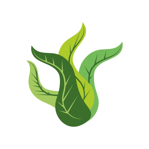 Zelená rostlinná vegetace — Stockový vektor