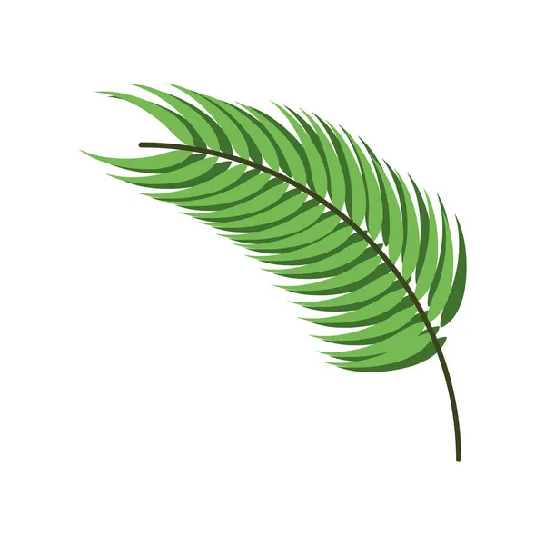 绿枝植物 — 图库矢量图片