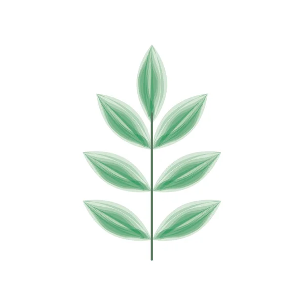 植物叶子图标 — 图库矢量图片