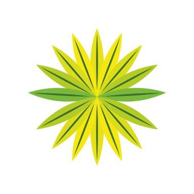 yeşil yapraklar bitki örtüsü