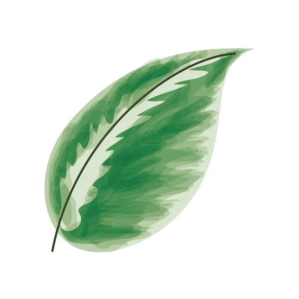 Feuille plante icône biologique — Image vectorielle