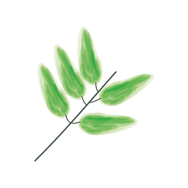 Foglie ramo pianta — Vettoriale Stock