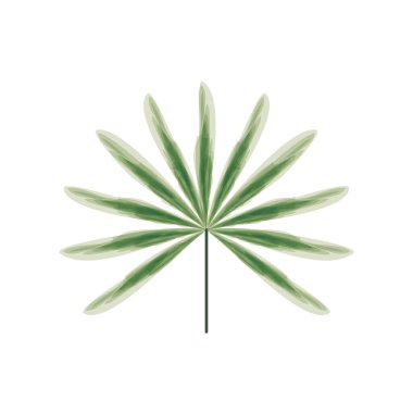 tropik palmiye simgesi