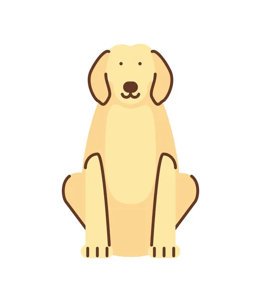 Hund sällskapsdjur tecknad — Stock vektor