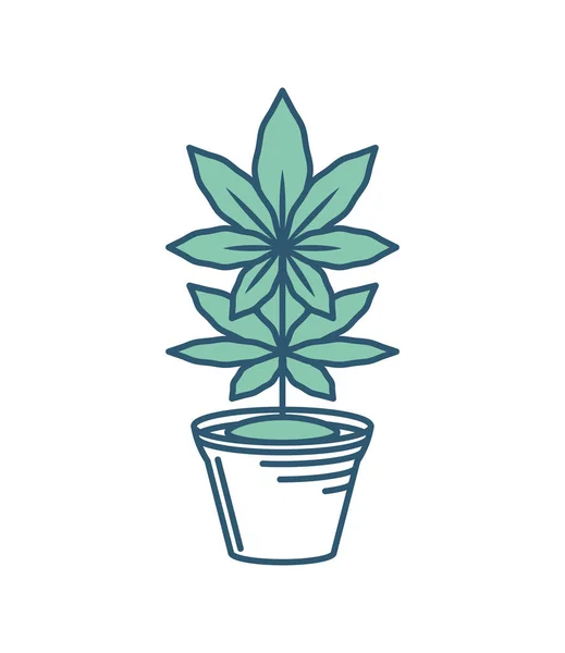 Cannabis tanaman dalam pot - Stok Vektor