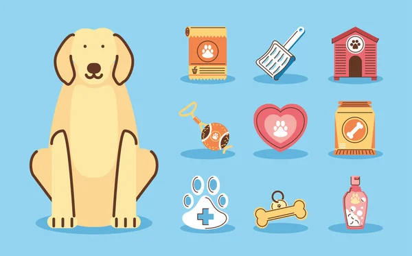 Mascotas perro iconos — Archivo Imágenes Vectoriales