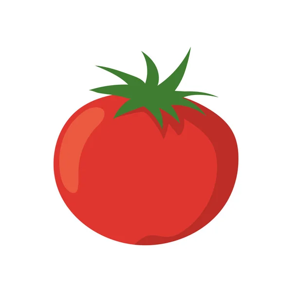 Tomate vegetal fresco — Vector de stock