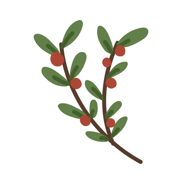 Branche aux fruits — Image vectorielle