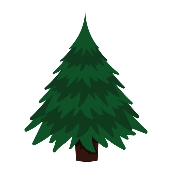 Les borovice — Stockový vektor