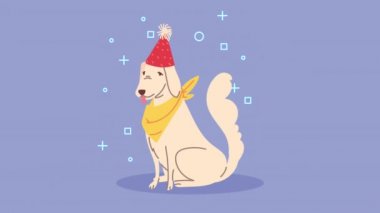 Doğum günü şapkası animasyonu olan sevimli köpek.