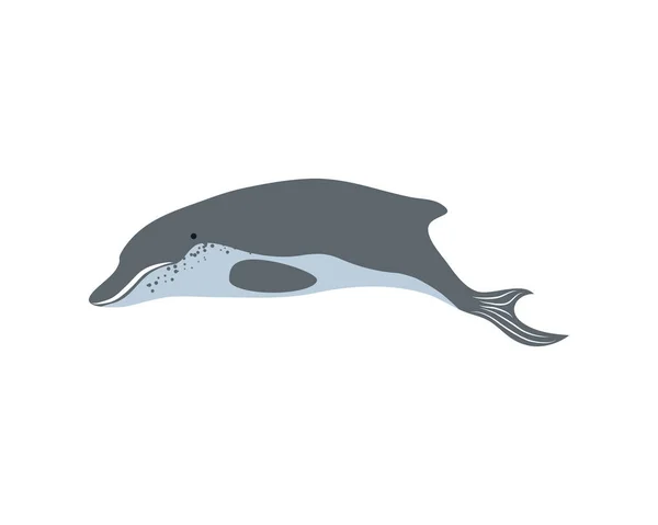 イルカの海の生活 — ストックベクタ