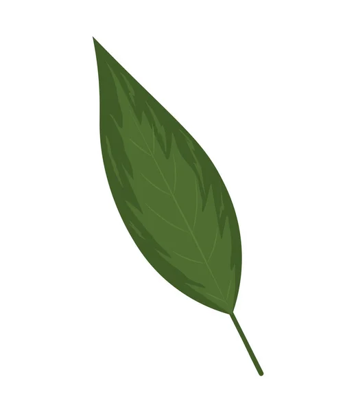 Icono botánico de la hoja — Vector de stock
