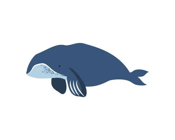 Icono de la ballena bowhead — Vector de stock