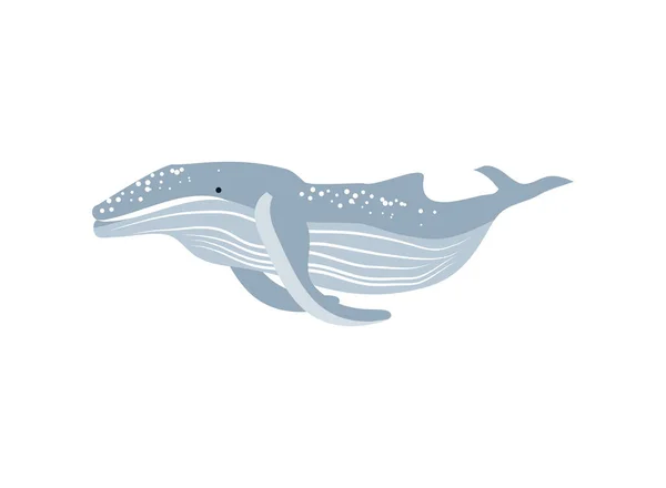 ザトウクジラのアイコン — ストックベクタ