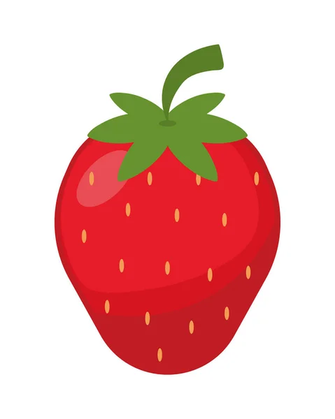 딸기 열매의 아이콘 — 스톡 벡터