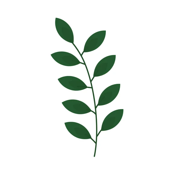 Folhas de folhagem verde — Vetor de Stock