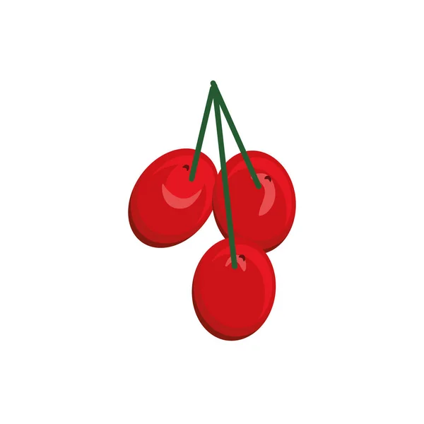 Куча ягод — стоковый вектор