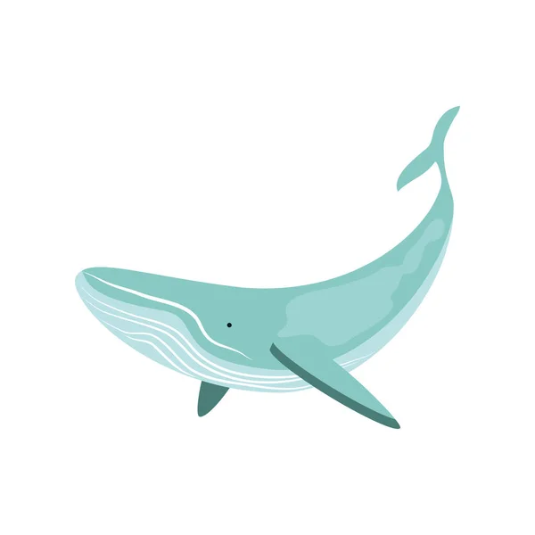 Whale undersea life — Stock Vector