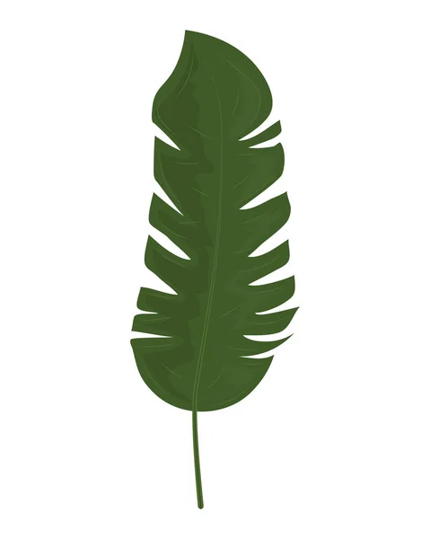 Naturaleza de las hojas tropicales — Archivo Imágenes Vectoriales