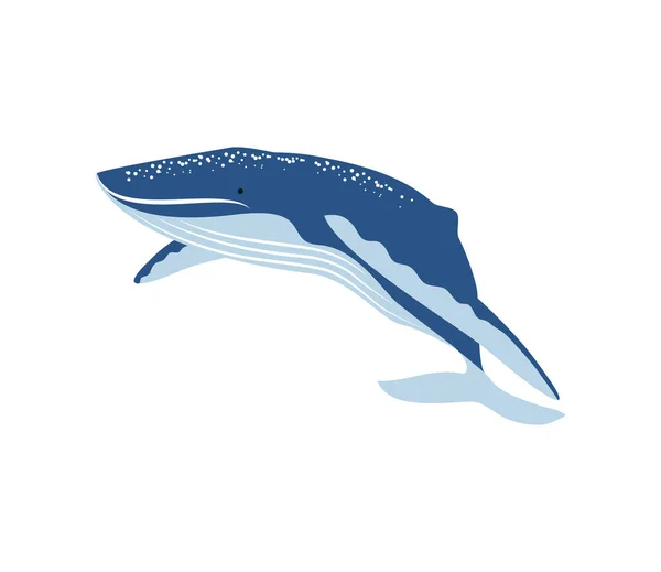 Icono de vector de ballena — Vector de stock