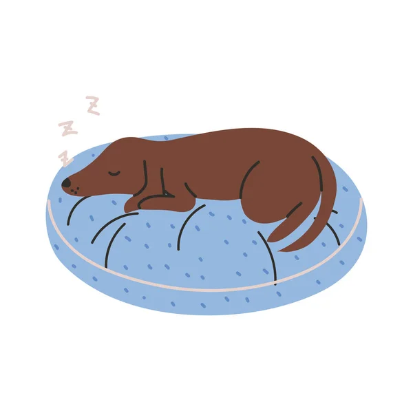 Perro durmiendo en el cojín — Vector de stock