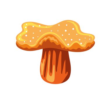 beyaz arkaplan üzerindeki mercan