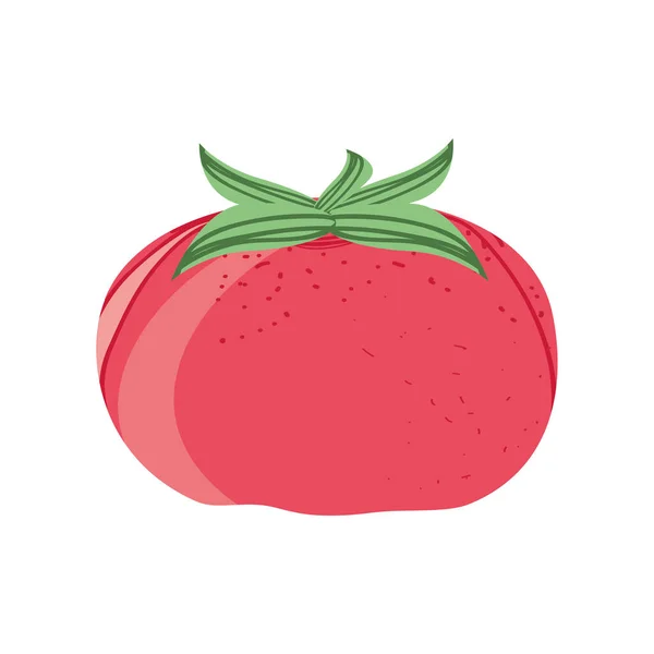 番茄鲜活图标 — 图库矢量图片