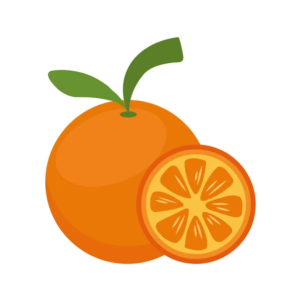 Cítricos de naranja — Vector de stock