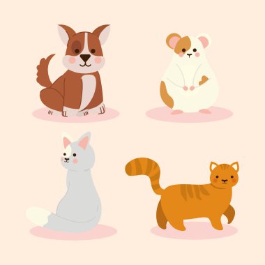 evcil hayvan köpek ve kedi