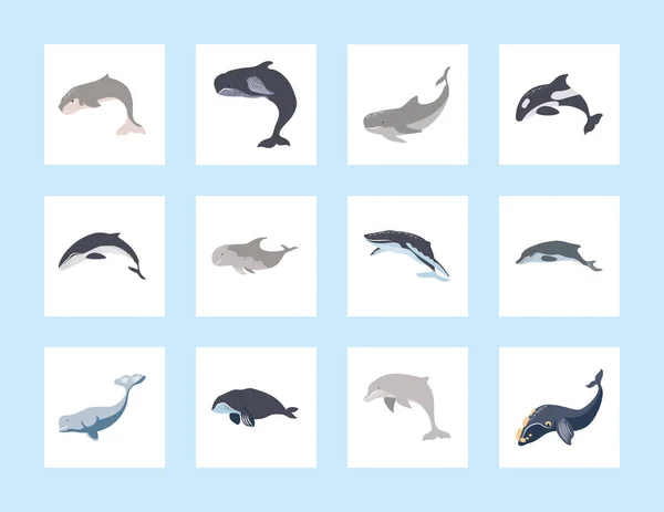 Iconos ballenas y delfines — Archivo Imágenes Vectoriales
