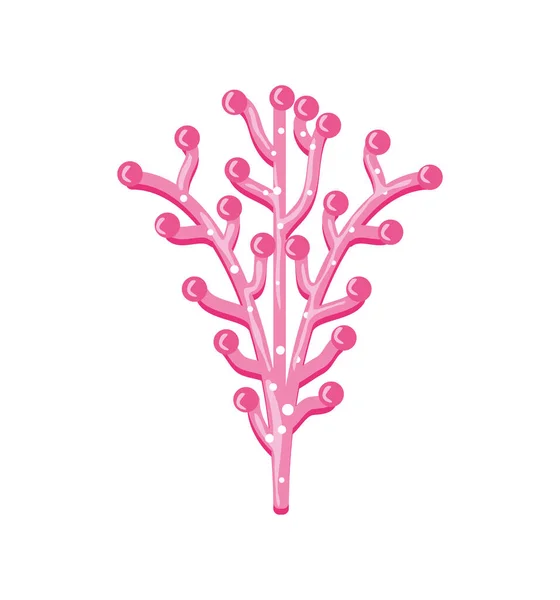 Mare di corallo rosa — Vettoriale Stock