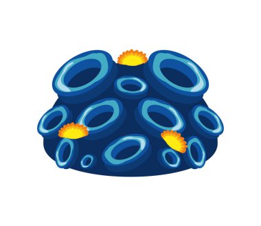 mercan resifi denizi