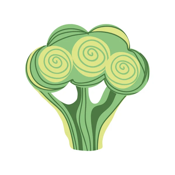 Brokolice čerstvé ikony — Stockový vektor