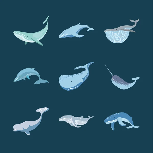 Conjunto de ballenas — Archivo Imágenes Vectoriales