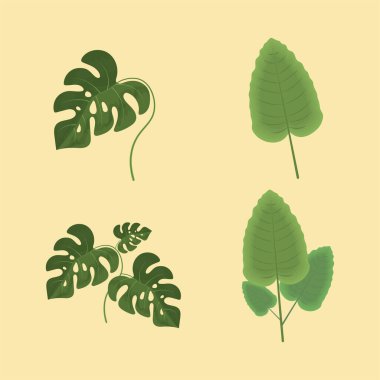 yapraklar yaprak simgesi seti