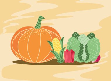 organik gıda sebzeleri