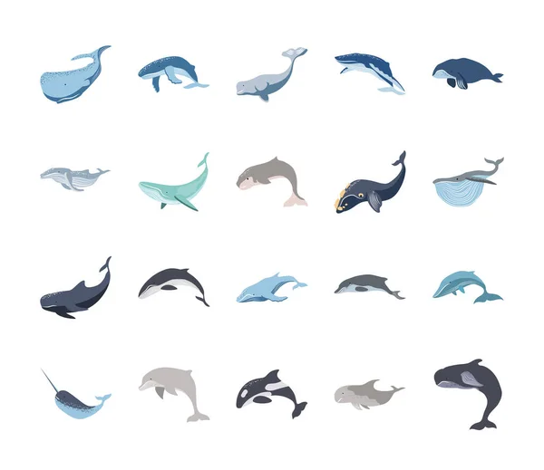 Baleia e golfinhos — Vetor de Stock