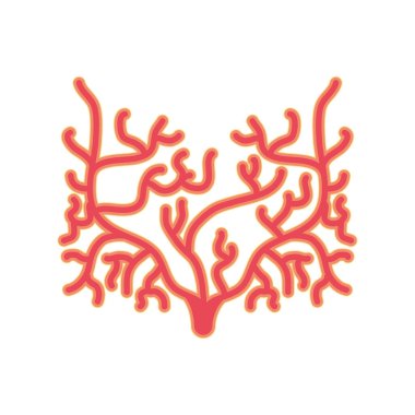 mercan deniz yaşamı